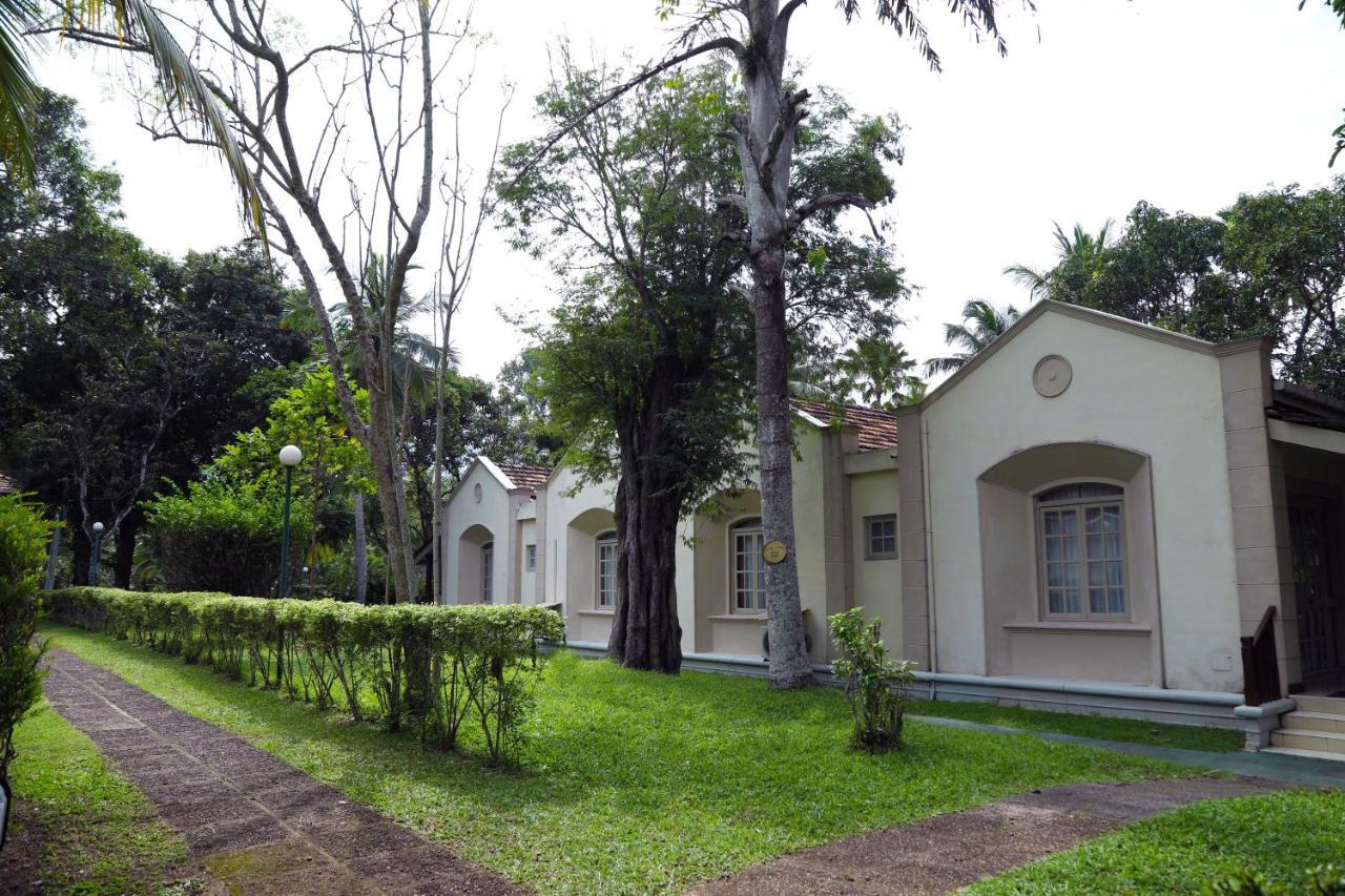 Tamarind Tree Garden Resort - Katunayake Negombo Exterior photo